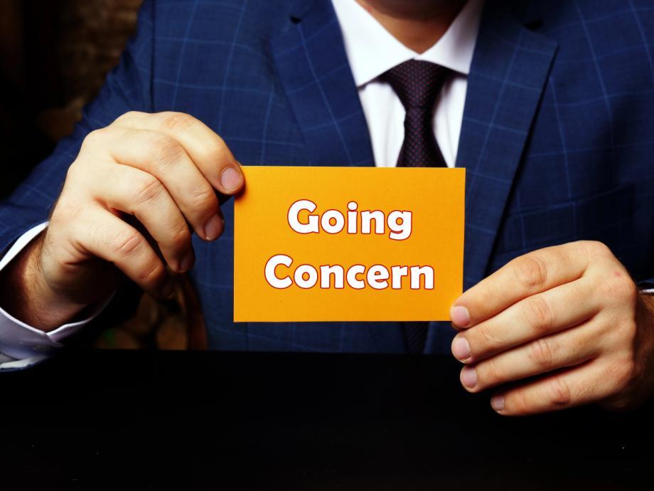 Going concern i en omskiftelig verden - Ledelsens vurdering af going concern
