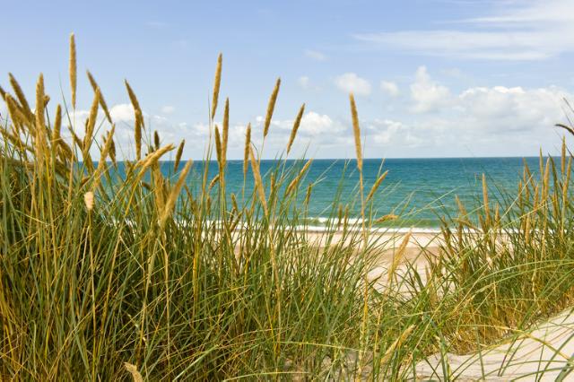 Godt nyt til sommerhusejere med grøn opvarmning